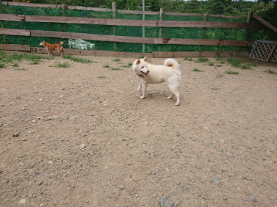 f:id:roukenhome-ann:20190806124658j:plain