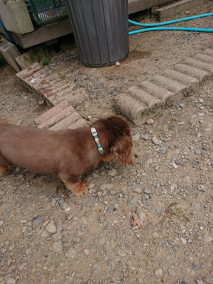 f:id:roukenhome-ann:20190806124713j:plain