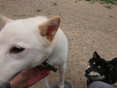 f:id:roukenhome-ann:20190806135558j:plain