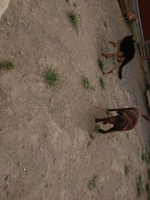 f:id:roukenhome-ann:20190806135604j:plain
