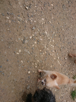 f:id:roukenhome-ann:20190806135723j:plain