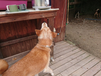 f:id:roukenhome-ann:20190806135815j:plain