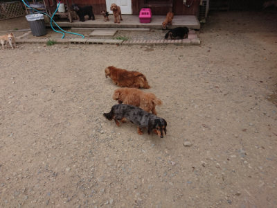 f:id:roukenhome-ann:20190806135830j:plain