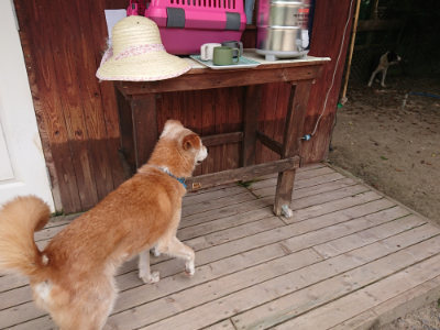 f:id:roukenhome-ann:20190806135844j:plain