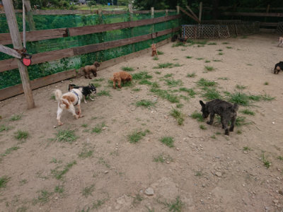 f:id:roukenhome-ann:20190806135855j:plain