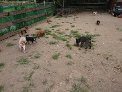f:id:roukenhome-ann:20190806135900j:plain