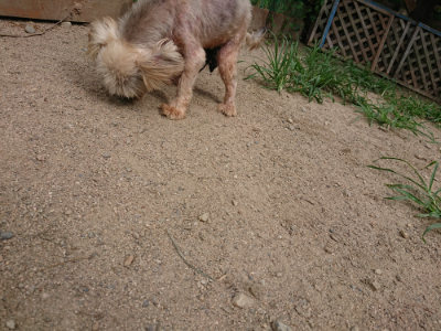 f:id:roukenhome-ann:20190806140014j:plain