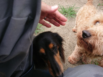 f:id:roukenhome-ann:20190806140026j:plain