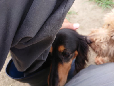 f:id:roukenhome-ann:20190806140102j:plain