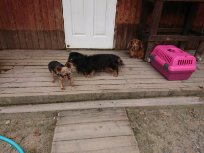 f:id:roukenhome-ann:20190806142556j:plain