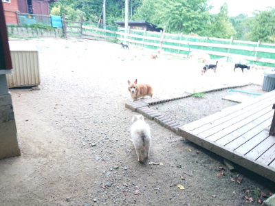 f:id:roukenhome-ann:20190806142615j:plain