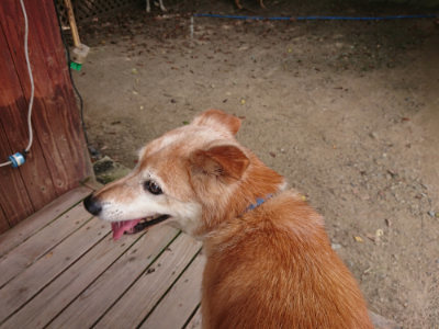 f:id:roukenhome-ann:20190806142633j:plain