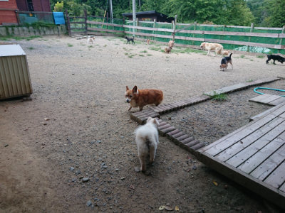 f:id:roukenhome-ann:20190806142639j:plain