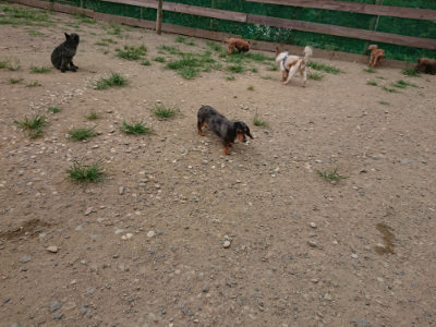 f:id:roukenhome-ann:20190806142644j:plain