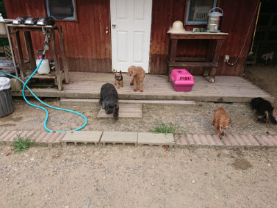 f:id:roukenhome-ann:20190806142650j:plain