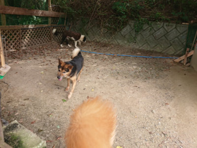 f:id:roukenhome-ann:20190806142656j:plain