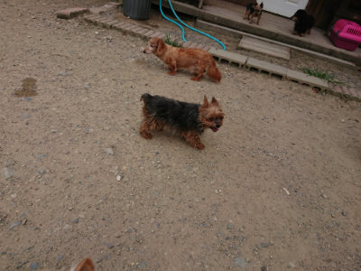f:id:roukenhome-ann:20190806142707j:plain