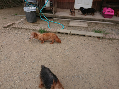 f:id:roukenhome-ann:20190806142723j:plain
