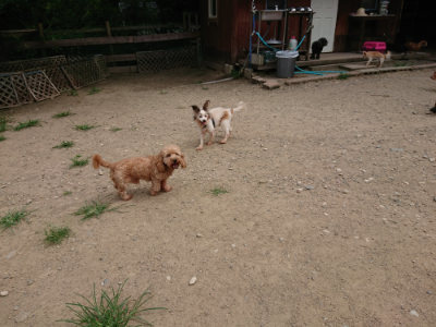 f:id:roukenhome-ann:20190806142728j:plain