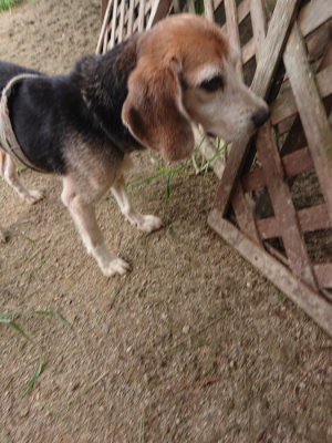 f:id:roukenhome-ann:20190806142741j:plain