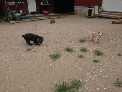 f:id:roukenhome-ann:20190806142749j:plain
