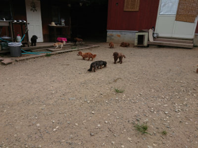 f:id:roukenhome-ann:20190806142753j:plain