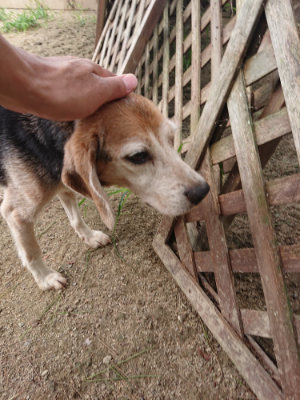 f:id:roukenhome-ann:20190806142808j:plain