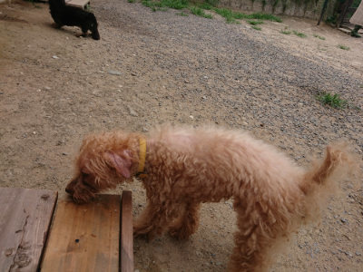 f:id:roukenhome-ann:20190806142844j:plain