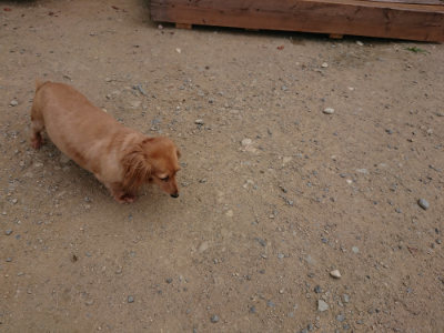 f:id:roukenhome-ann:20190806142849j:plain