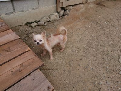 f:id:roukenhome-ann:20190806142900j:plain