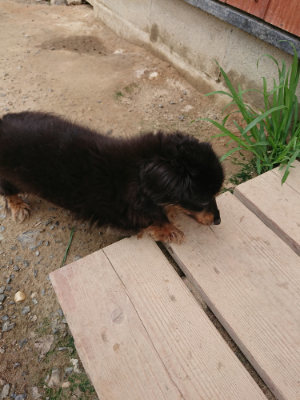f:id:roukenhome-ann:20190806142907j:plain