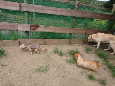 f:id:roukenhome-ann:20190806142913j:plain