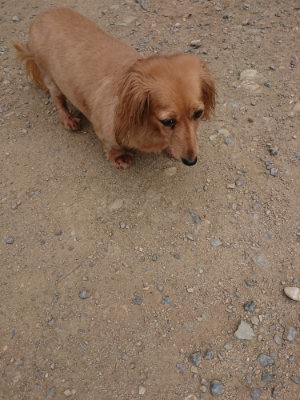 f:id:roukenhome-ann:20190806142932j:plain