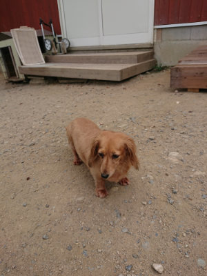 f:id:roukenhome-ann:20190806142957j:plain