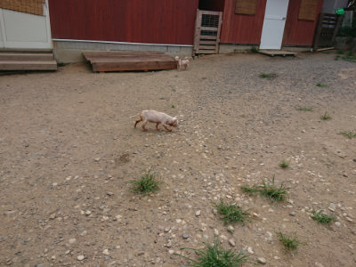 f:id:roukenhome-ann:20190806143025j:plain