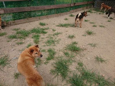 f:id:roukenhome-ann:20190806143304j:plain