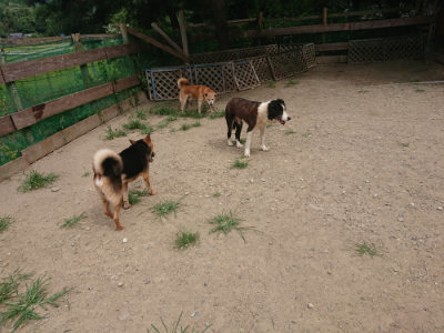f:id:roukenhome-ann:20190806143310j:plain