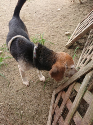 f:id:roukenhome-ann:20190806143335j:plain