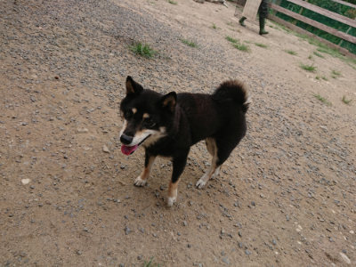 f:id:roukenhome-ann:20190806143407j:plain