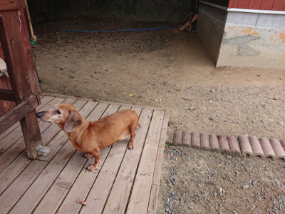 f:id:roukenhome-ann:20190806143431j:plain