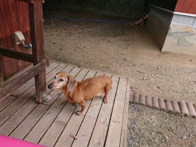 f:id:roukenhome-ann:20190806143437j:plain