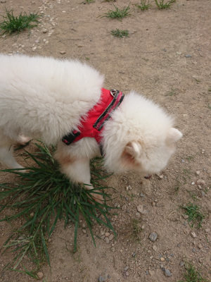 f:id:roukenhome-ann:20190806143501j:plain