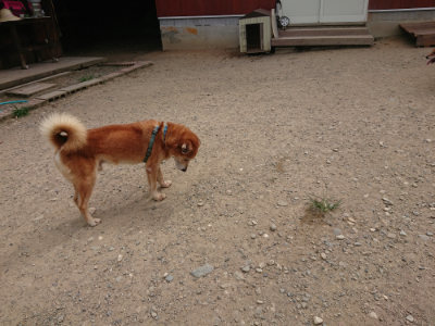 f:id:roukenhome-ann:20190806143512j:plain