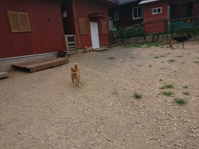 f:id:roukenhome-ann:20190806143535j:plain