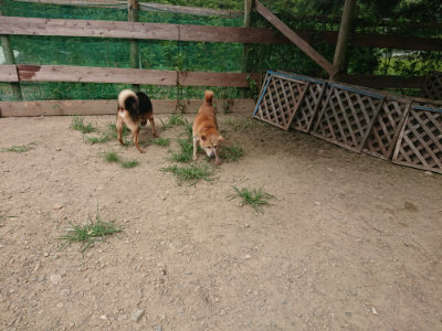 f:id:roukenhome-ann:20190806143618j:plain