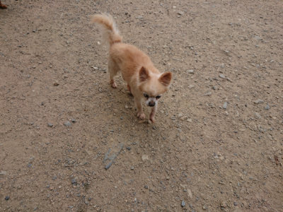 f:id:roukenhome-ann:20190806143624j:plain