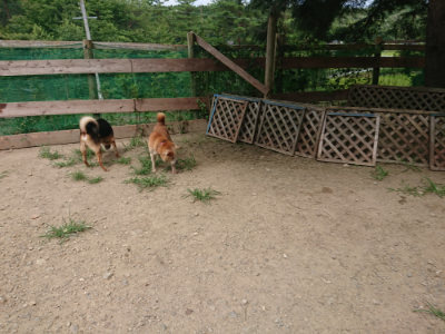 f:id:roukenhome-ann:20190806143721j:plain