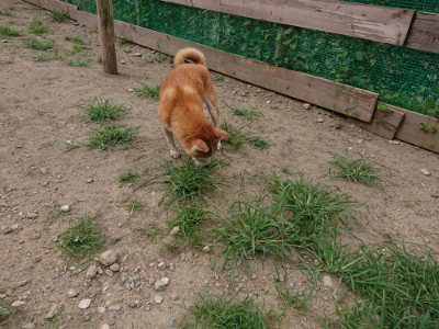 f:id:roukenhome-ann:20190806143727j:plain