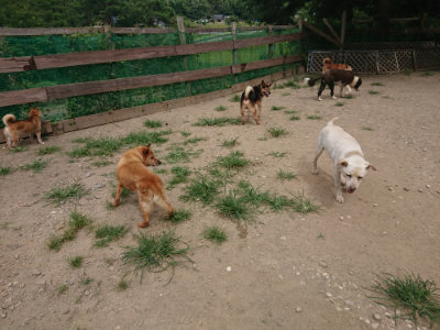 f:id:roukenhome-ann:20190806143732j:plain