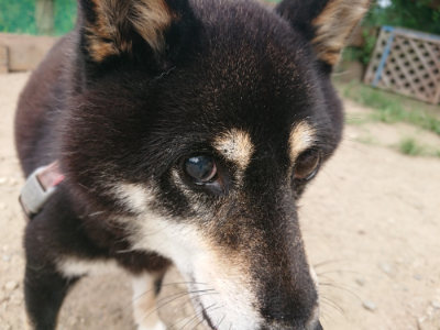 f:id:roukenhome-ann:20190806143742j:plain